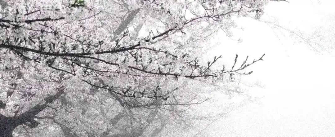 🌸           𖧁𓍢           𝒮𝑡𝑖𝑐𝑘𝑒𝑟𝑠       ⎯ 
    𓋜       ♥︎       𝑜𝒻        ⴇᧉı post