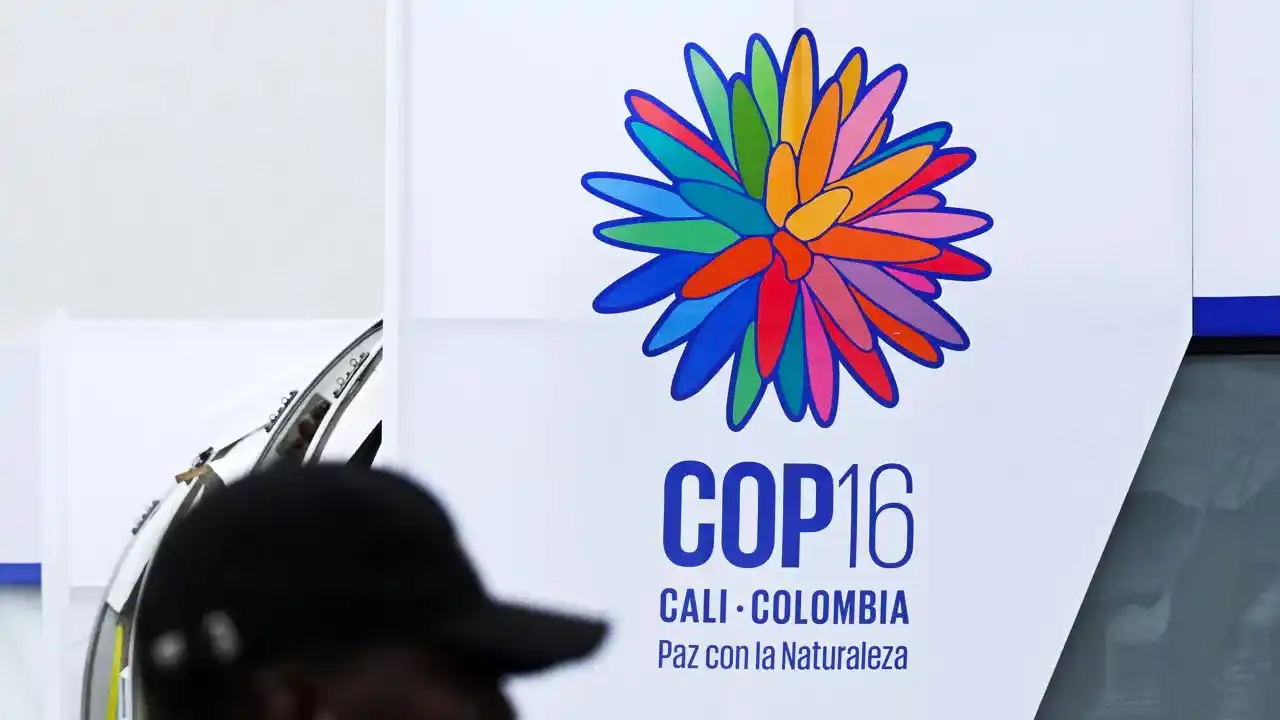 Image from VRT NWS: In Rome wordt vandaag de VN-top over natuurbescherming en biodiversite...