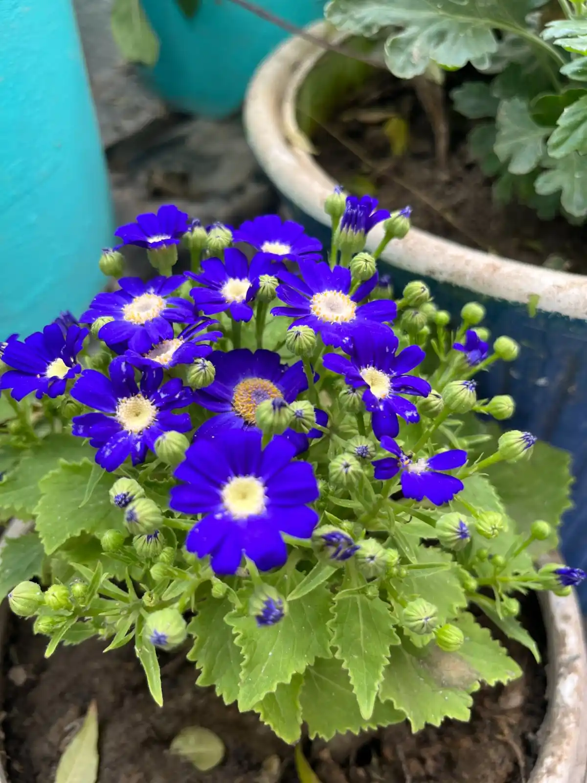 Artkala Innovators  post