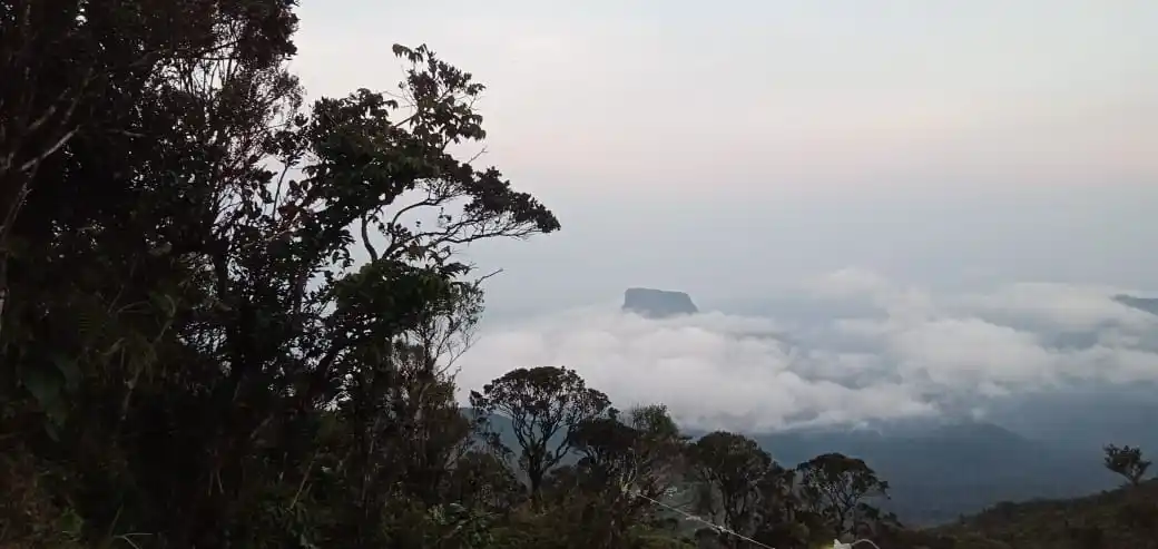 @𝗧𝗿𝗮𝘃𝗲𝗹....🍃❤️ post