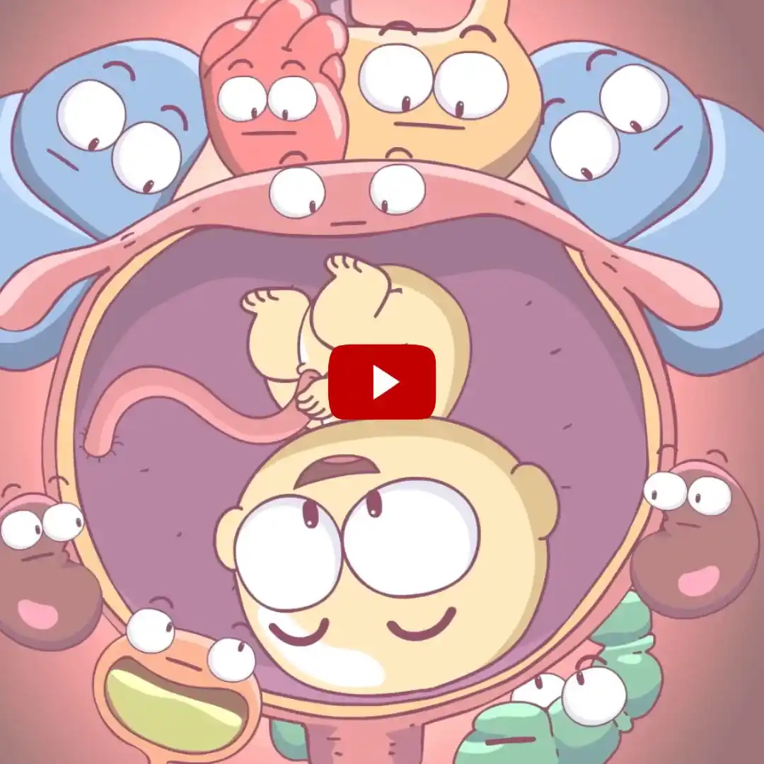 Image from BabyBytes: ✨Video✨  Het menselijk lichaam is een wonderlijke creatie van moeder n...