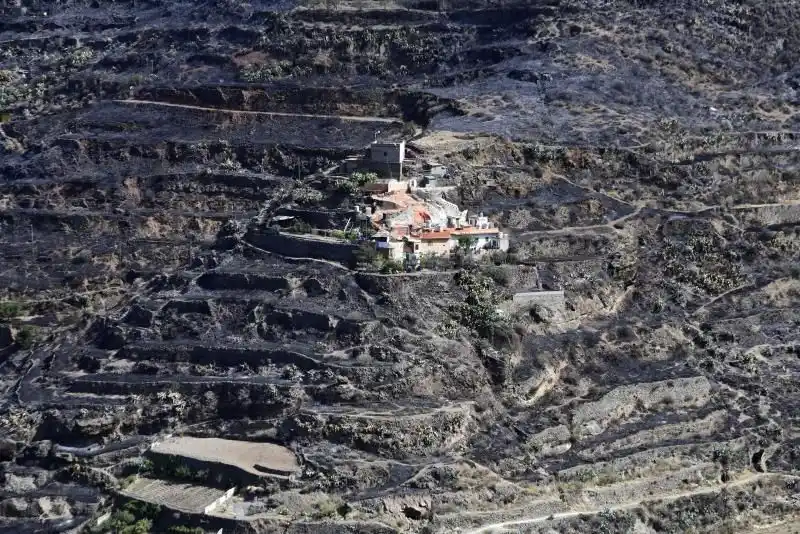 Image from Canarias7: ¡Buenos días! 😄Desde la redacción seguimos pendientes de la salud del...