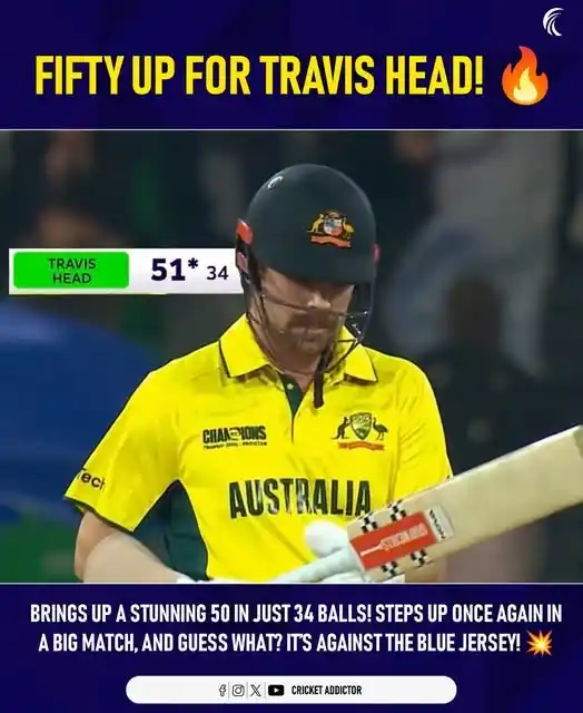 Cricket Addictor post