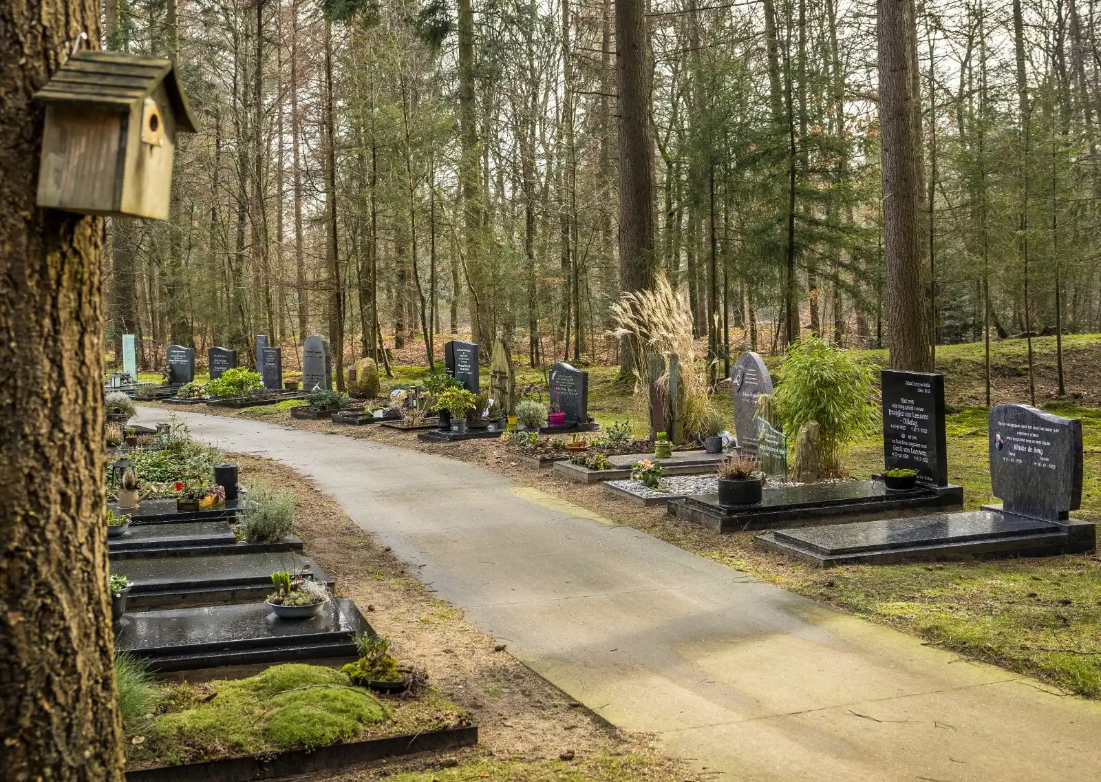Image from De Stentor: *Onverwerkte rouw* 🥀 Dit ‘straatje’ op begraafplaats toont het verdr...