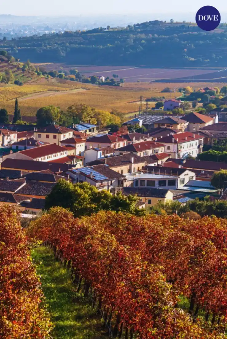 Image from Doveviaggi.it: 🇮🇹*Colli Berici* Scopri le meraviglie 🙀 nascoste dei Colli Berici: ...