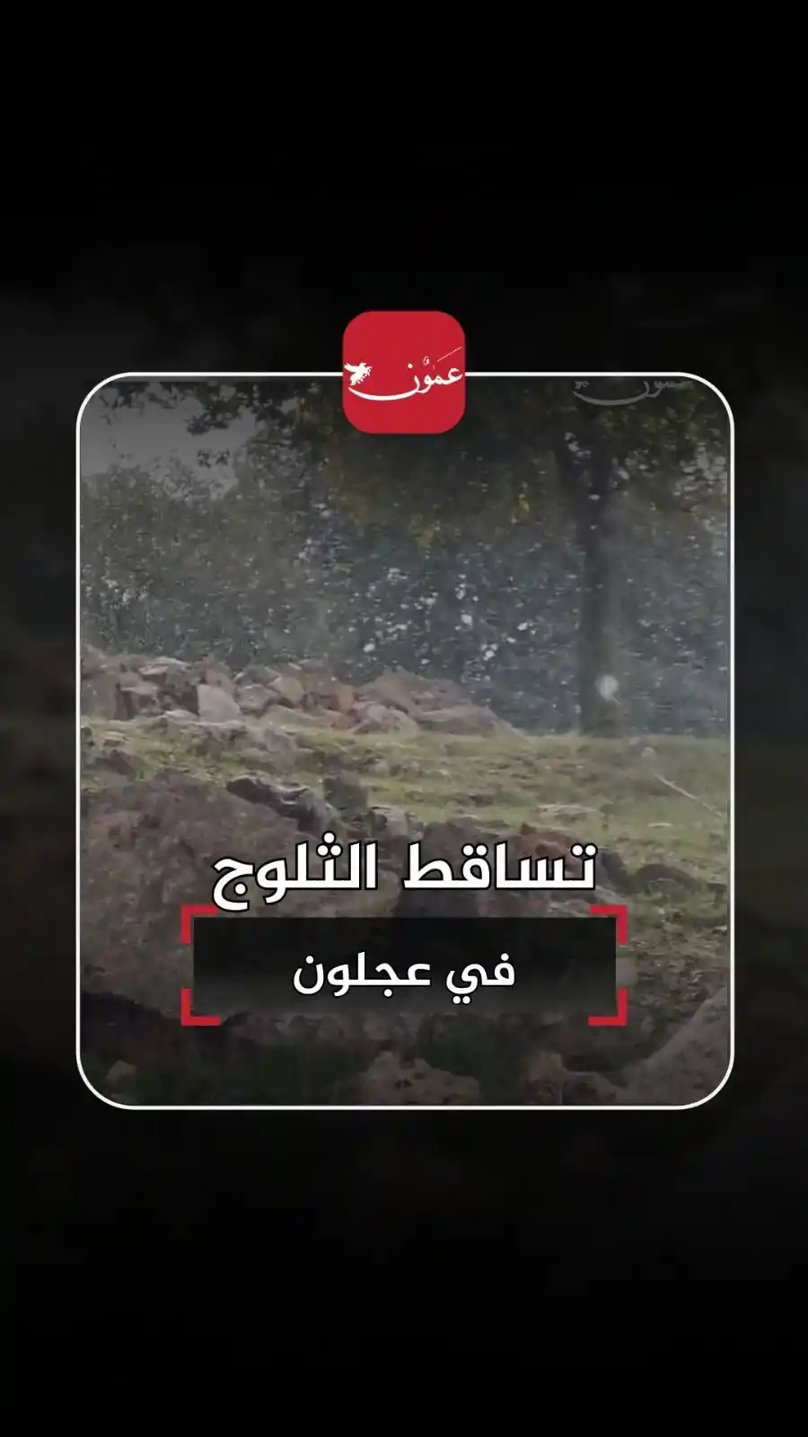Image from فيديو عمون Ammon Video : تساقط الثلوج في عجلون https://t.me/ammonnews/660...