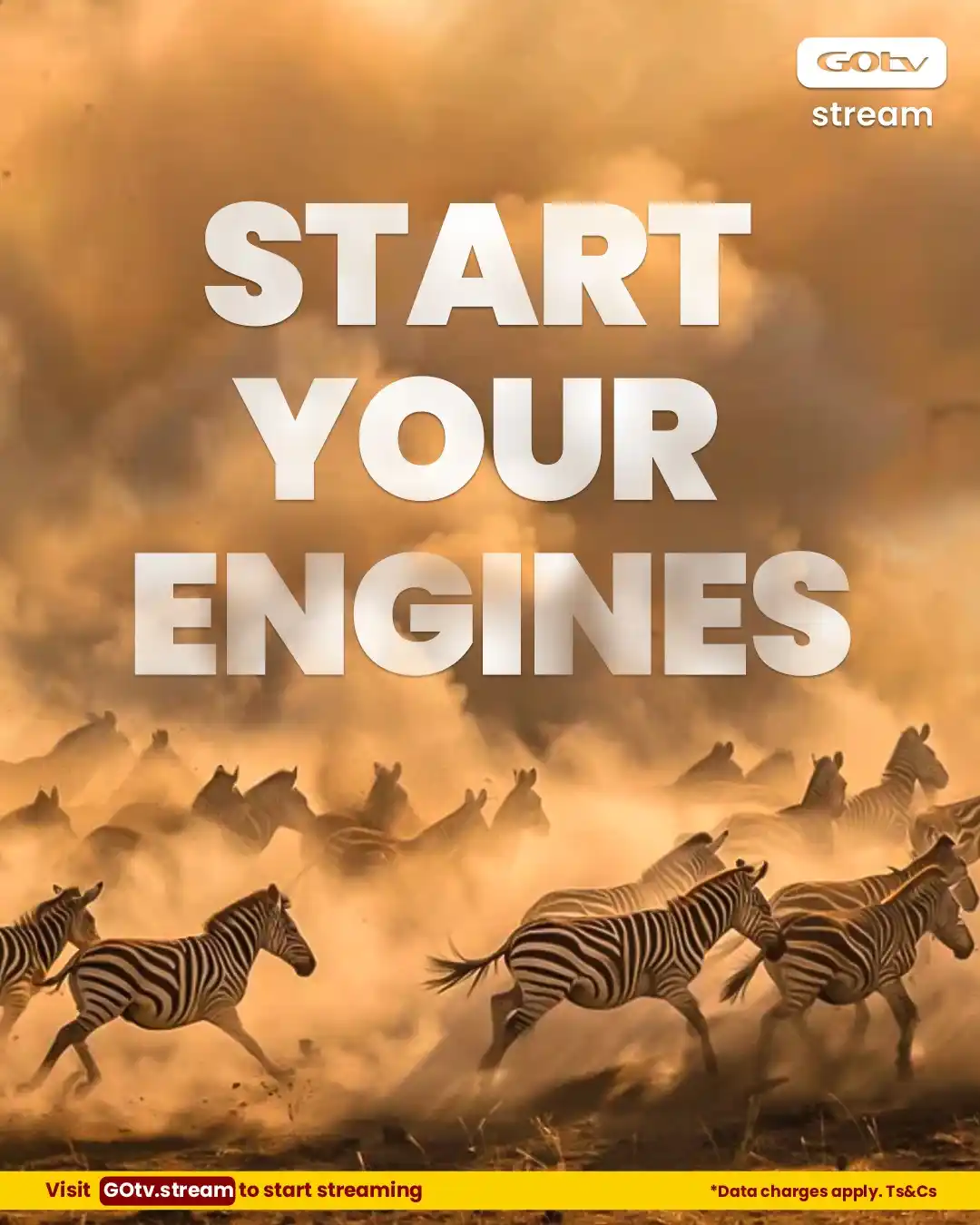 Image from GOtv Kenya: *🚨Ngurumisha Engine yako as we are taking you on a Safari soon! — Sta...