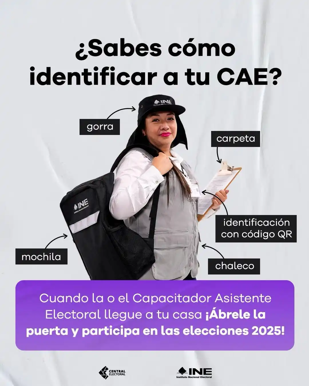 Instituto Nacional Electoral post