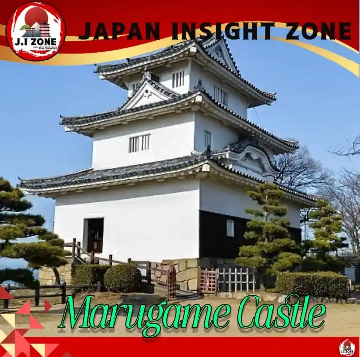 Japan Insight Zone (日本インサイトゾーン) post
