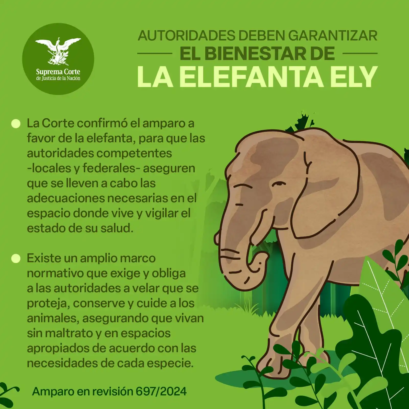 Image from #LaCorte: ⚖️ <a class="text-blue-500 hover:underline cursor-pointer" href="/hash...
