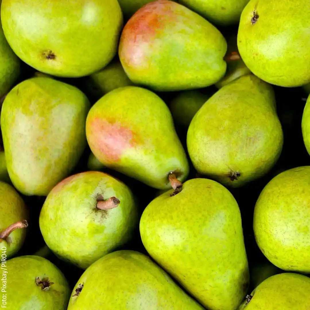 Image from Mein schöner Garten – Obst- & Gemüsegarten: Tipps & Tricks: Birnen – süß, saftig und voller Nährstoffe! 🍐💚 💡 Birnen sind mit n...