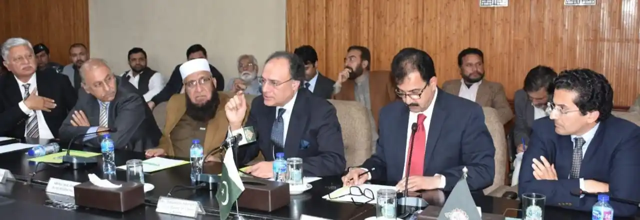 Image from Mettis Link News: *Pakistan achieves economic stability amid Govt's reform efforts: FinM...