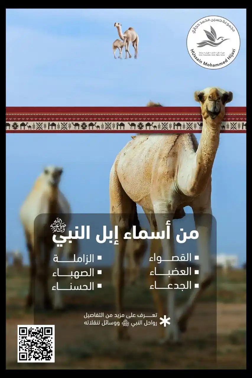 Image from مجموعة حجازي HIJAZI GROUP: نعم، من أسماء إبل النبي محمد صلى الله عليه وسلم، التي وردت في الأحاديث...