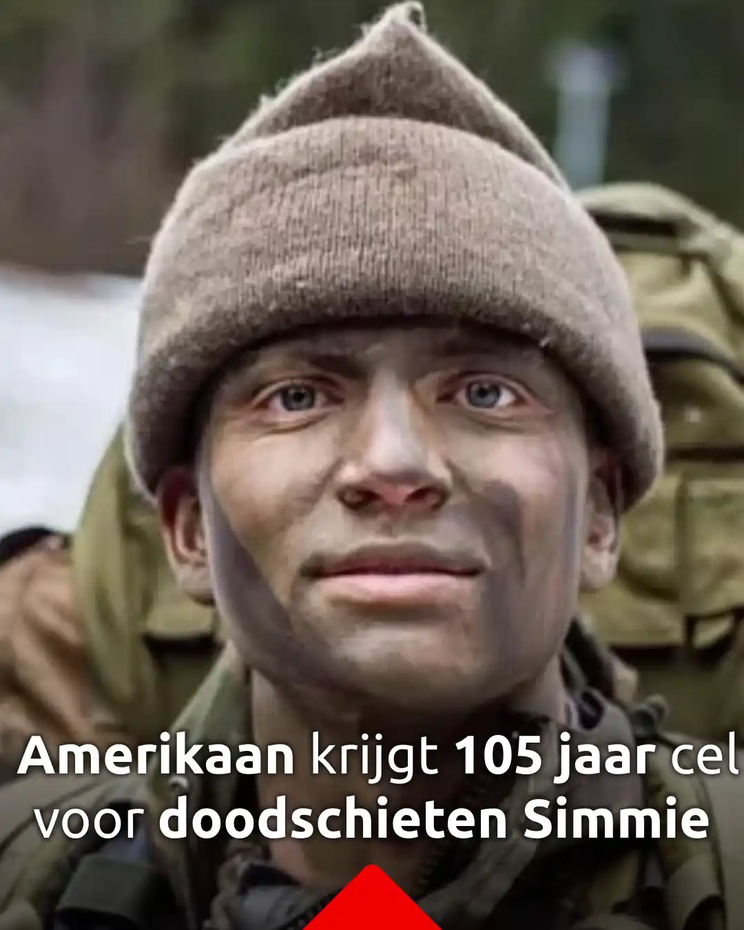 Misdaad in Brabant post