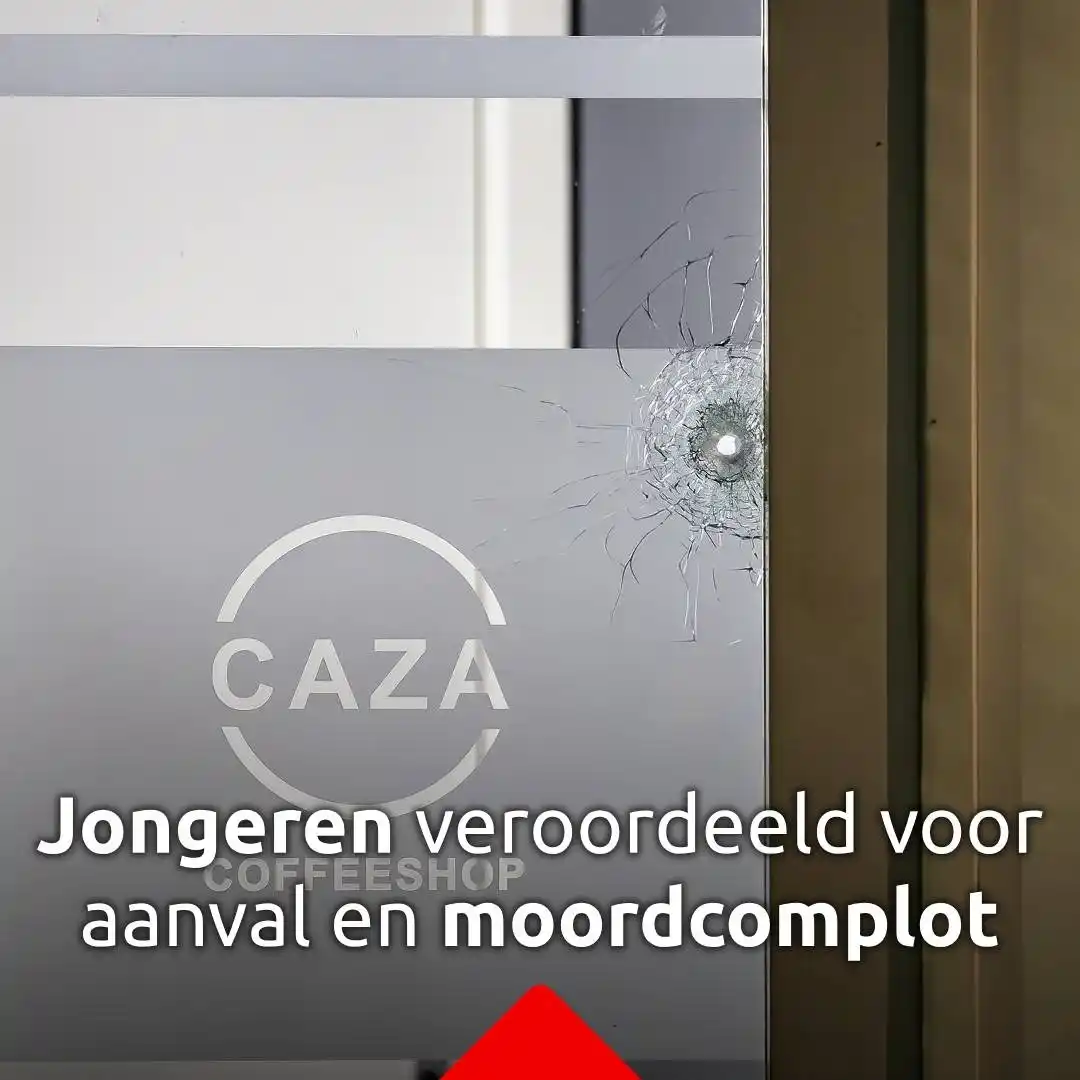 Image from Misdaad in Brabant: *Jonge criminelen veroordeeld voor aanval op coffeeshop en moordcomplo...