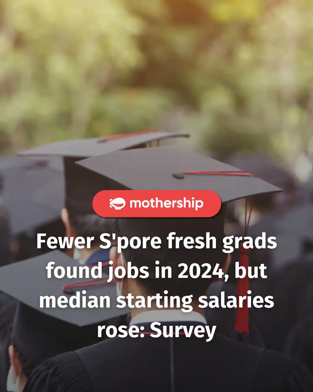 Image from Mothership: The report showed that fresh graduates in 2024 enjoyed a higher median...
