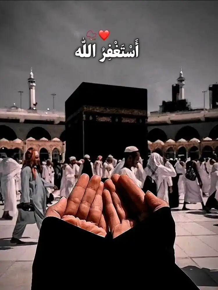 Quran || قـــرآن مجــید

Islamic vibes || Deep lines || status || Urdu || Poetry || Novel post