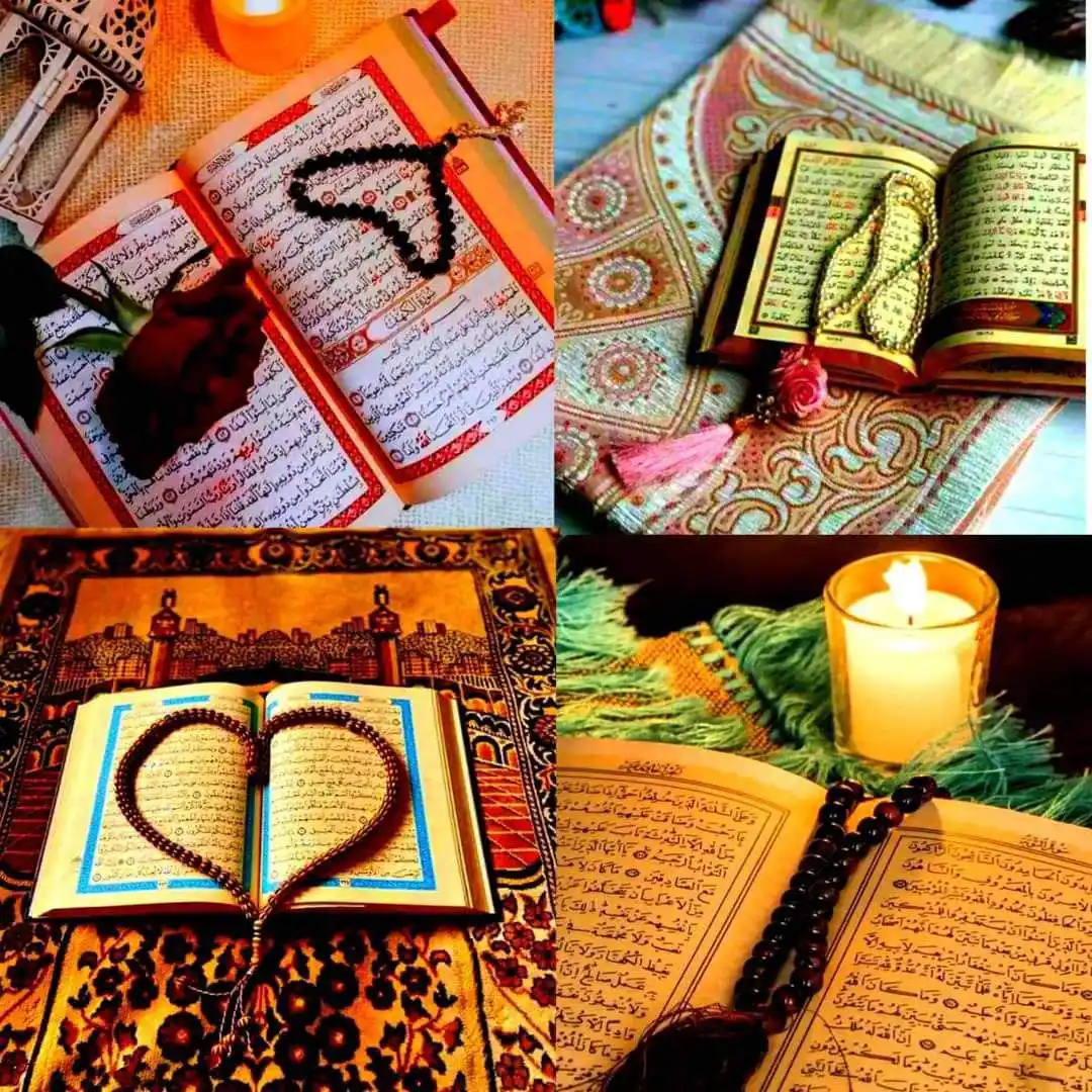 Quran || قـــرآن مجــید

Islamic vibes || Deep lines || status || Urdu || Poetry || Novel post