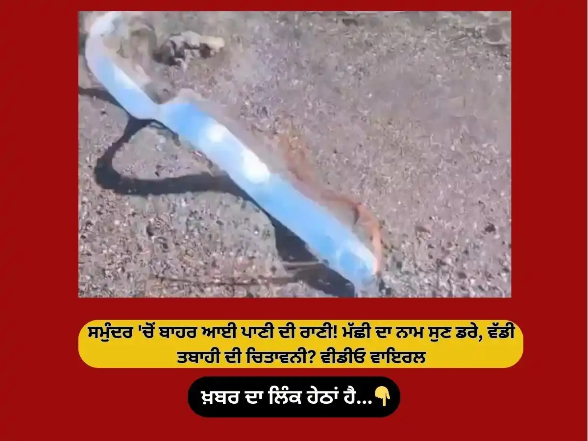 Image from News18 Punjab: *ਸਮੁੰਦਰ 'ਚੋਂ ਬਾਹਰ ਆਈ ਪਾਣੀ ਦੀ ਰਾਣੀ! ਮੱਛੀ ਦਾ ਨਾਮ ਸੁਣ ਡਰੇ, ਵੱਡੀ ਤਬਾਹੀ ਦੀ ...