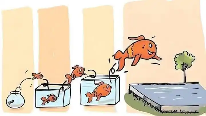 💎 O/L සිප් සයුර 💎 post