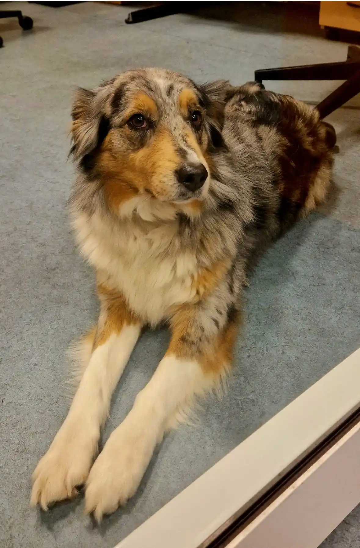 Polizei Oldenburg post