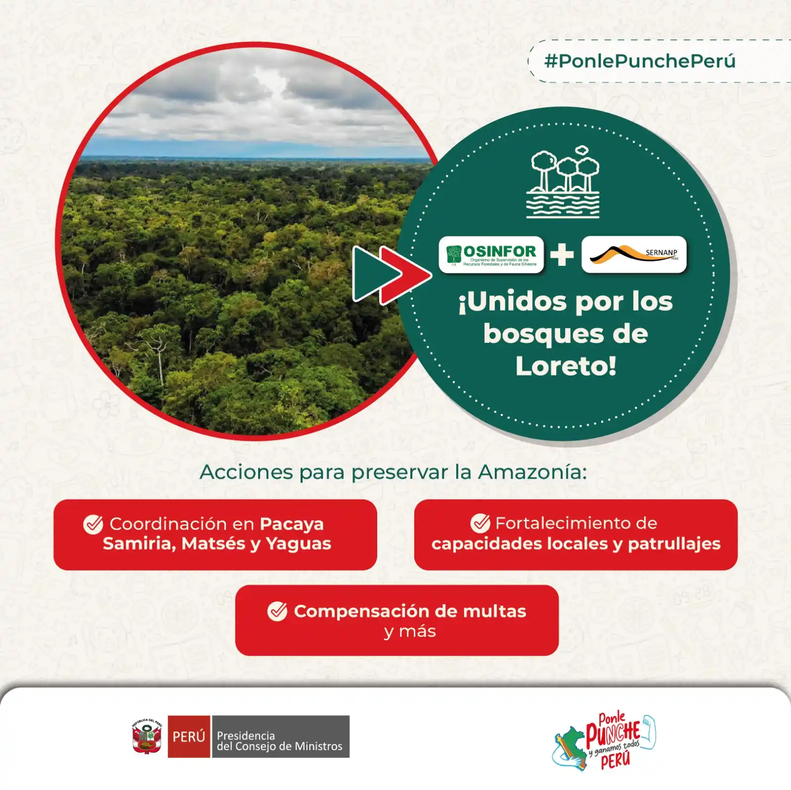 Image from Presidencia del Consejo de Ministros PCM: 🌱 *¡OSINFOR y SERNANP se unen para proteger los bosques en la región ...