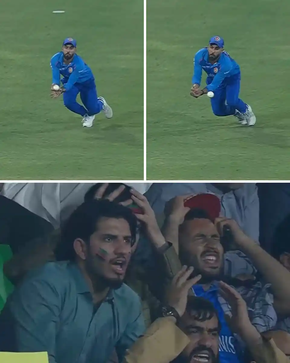 Image from PTV Cricket News: حشمت اللہ شاہدی نے بین ڈکٹ کا کیچ ڈراپ کر دیا! 🤯🤯  <a class="text-bl...