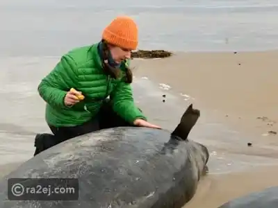 رائج - Ra2ej post