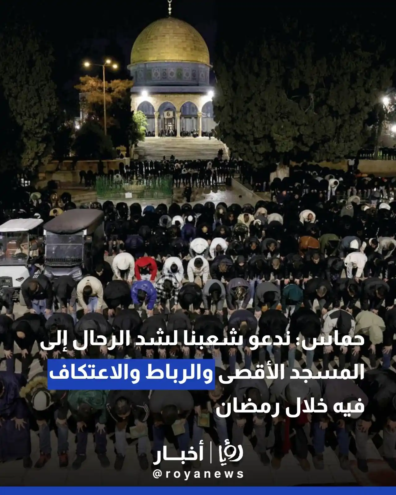 Image from Roya Palestine - رؤيا فلسطين: "شهر صمود ودعم للقطاع وفلسطين" التفاصيل في الرابط: https://royanews.tv...