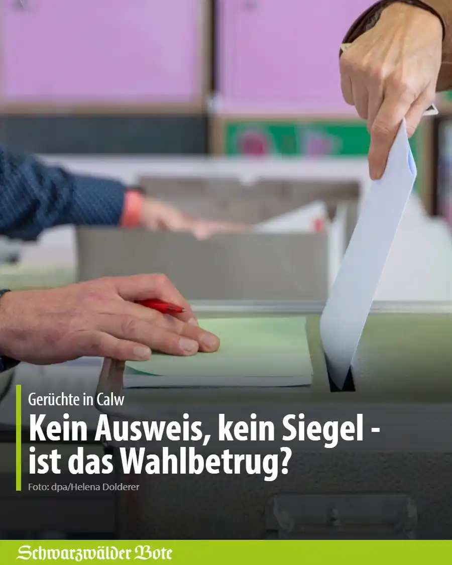 Image from Schwarzwälder Bote: Nach der *Bundestagswahl* kursieren in sozialen Medien *Gerüchte über ...