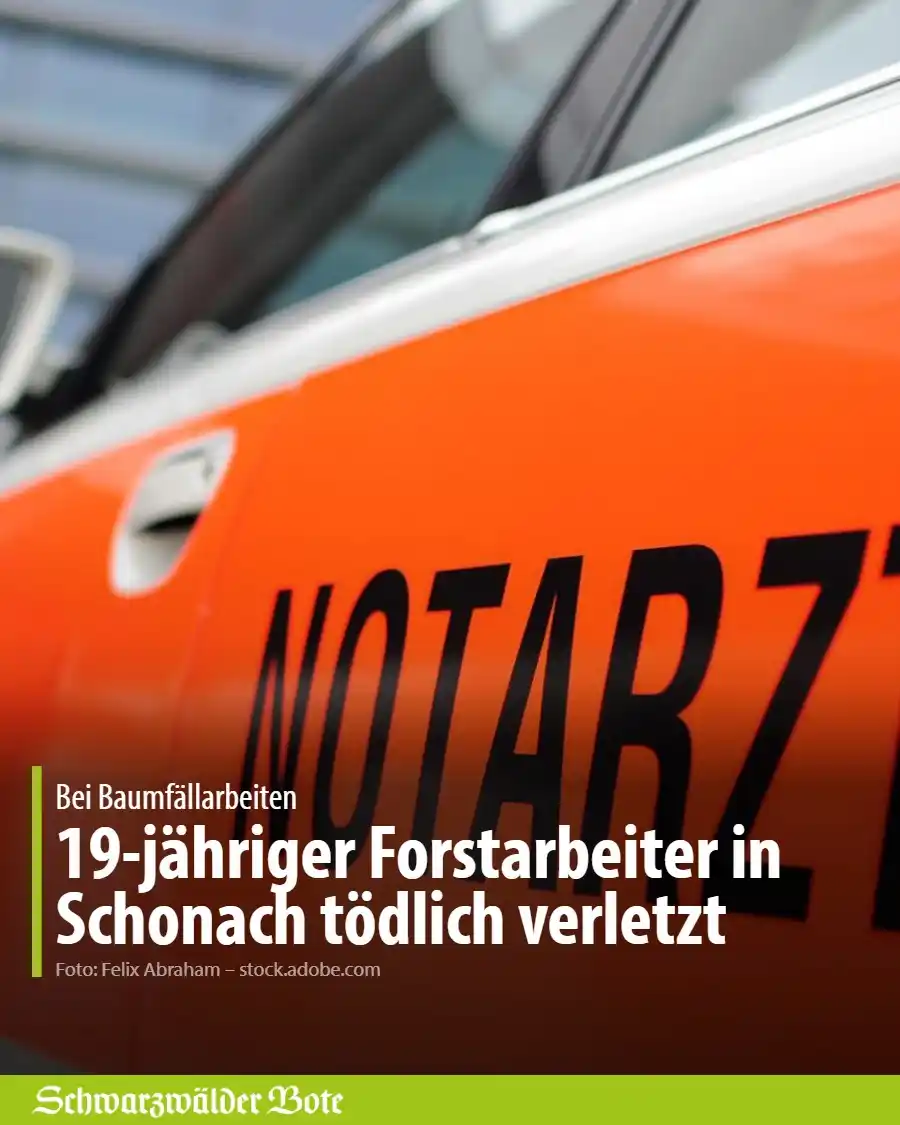 Image from Schwarzwälder Bote: Ein *19-jähriger Forstarbeiter* wurde am *Freitagnachmittag* in *Schon...