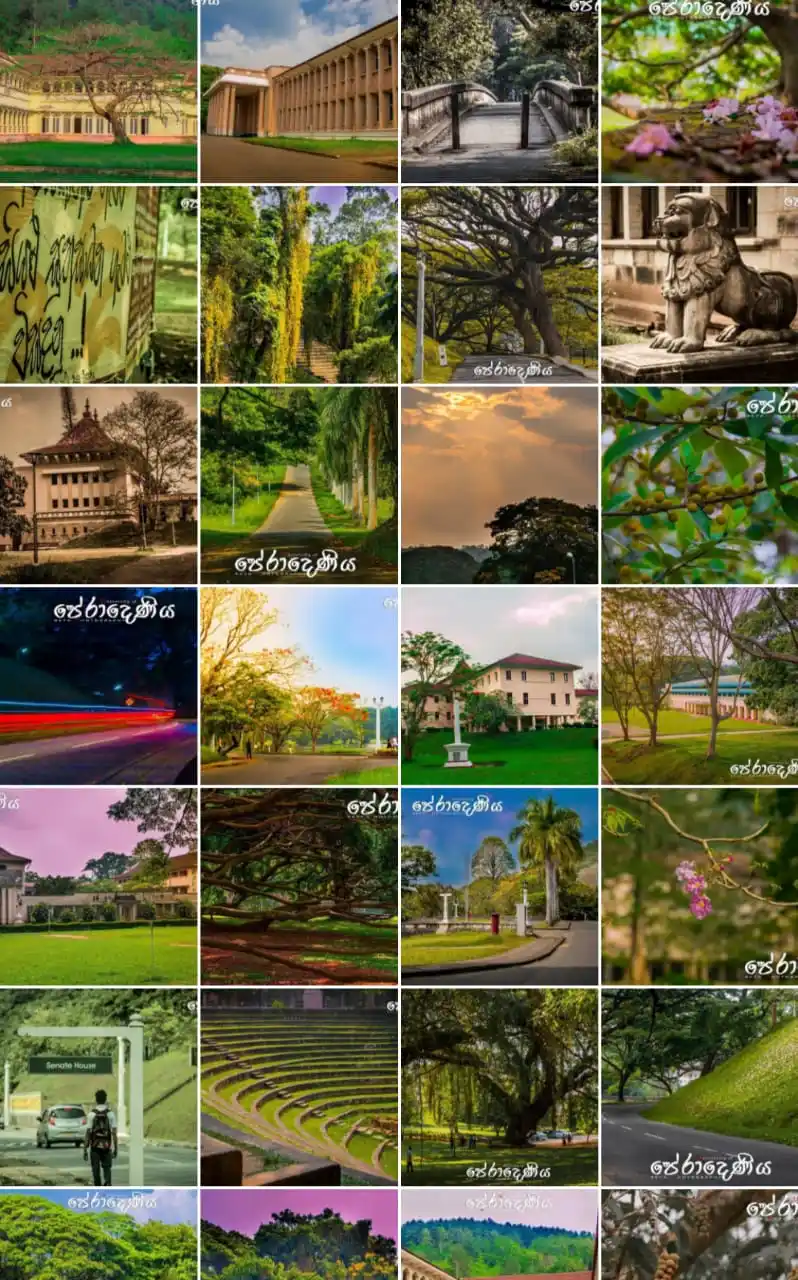 වාණිජ විදුපියස|🇱🇰 🧑‍🎓 post