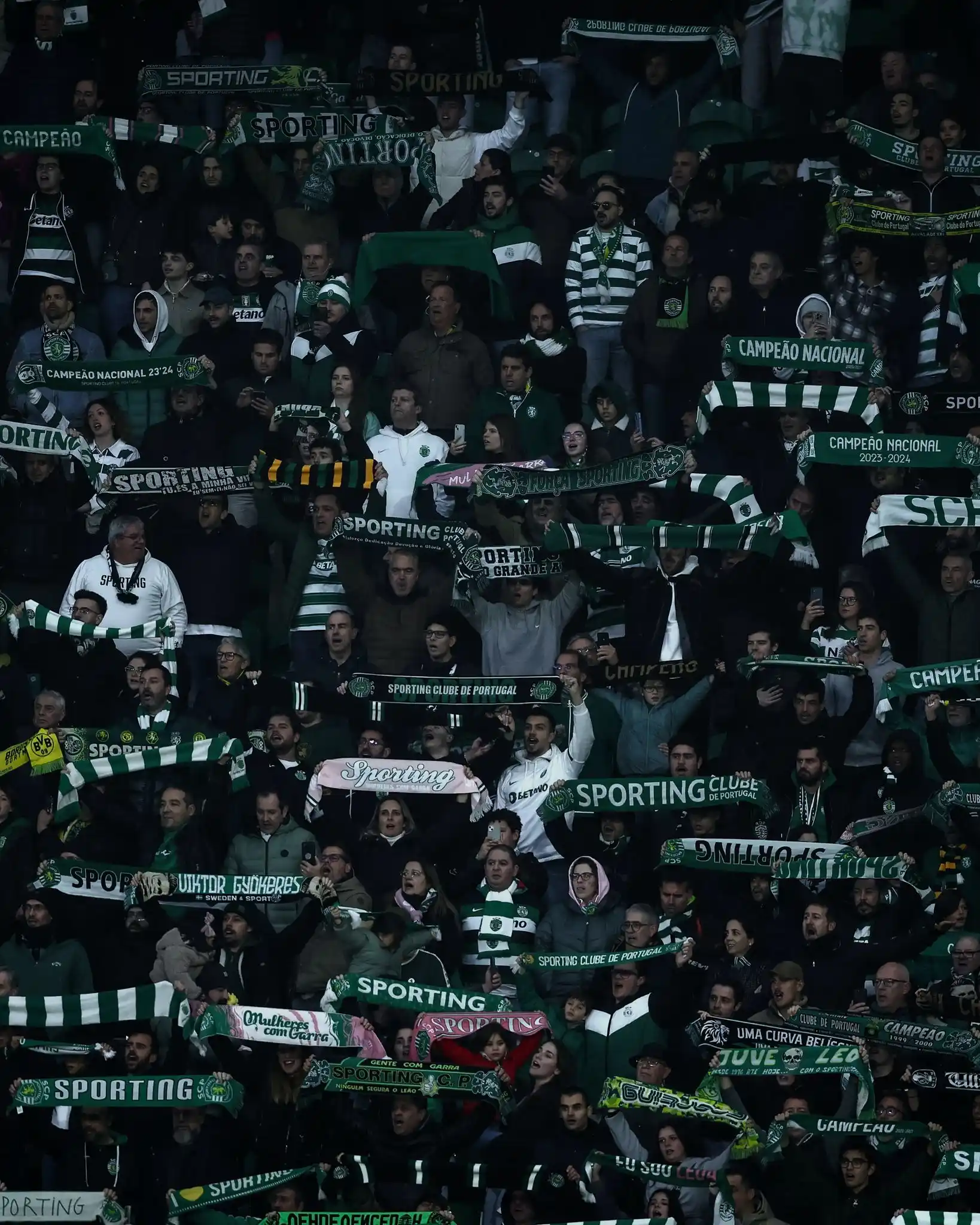 Image from Sporting CP: <a class="text-blue-500 hover:underline cursor-pointer" href="/hashtag...