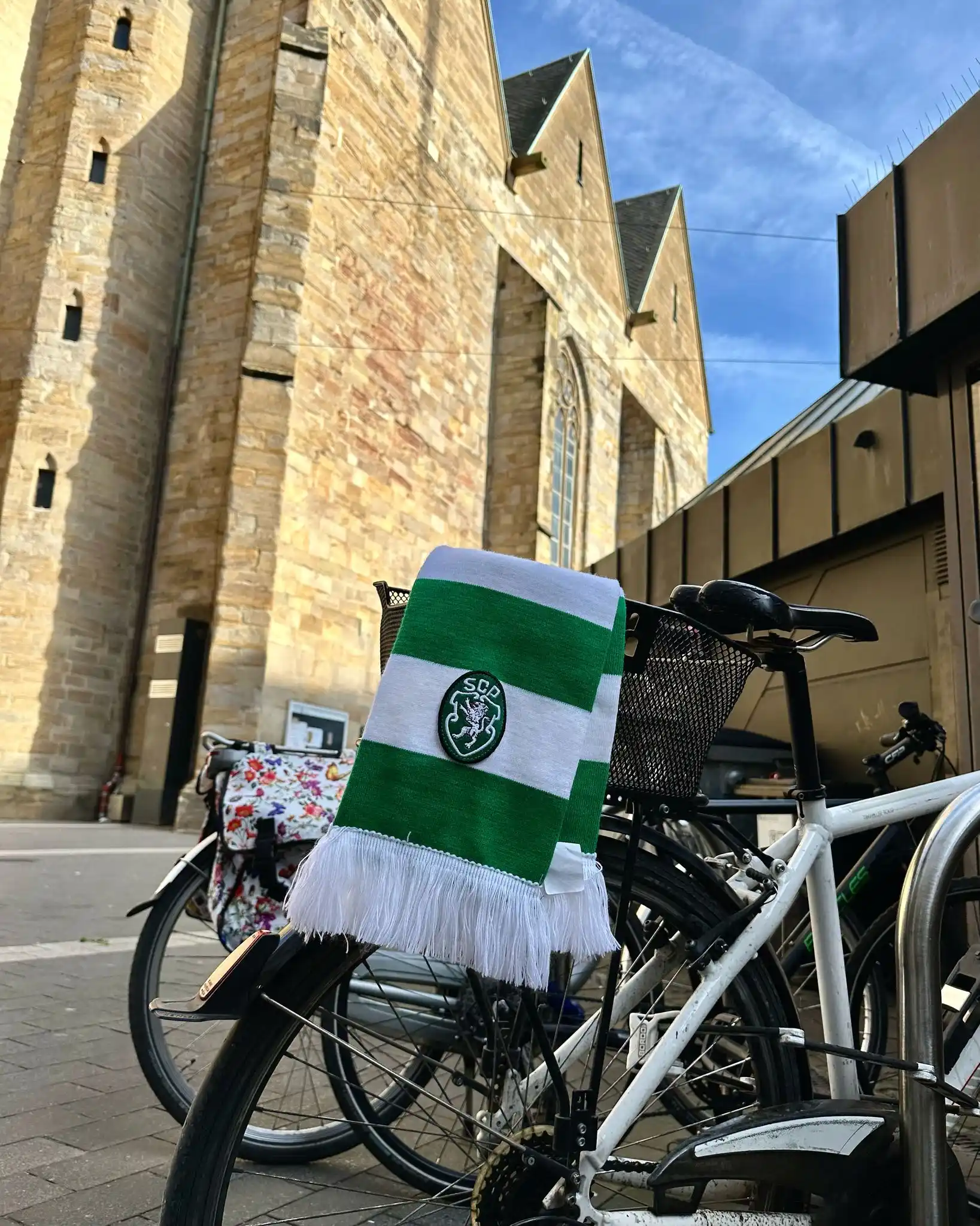 Image from Sporting CP: All around 💚 <a class="text-blue-500 hover:underline cursor-pointer" ...