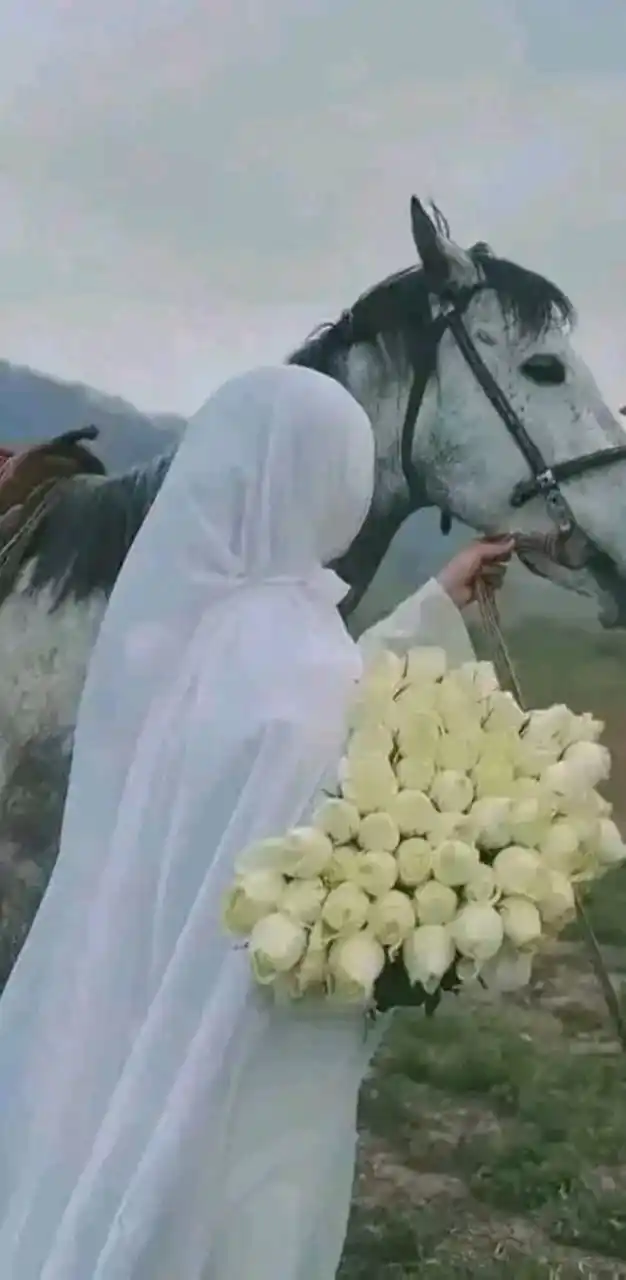 🌸طَــريـقُ الـهُـــدى♥ post