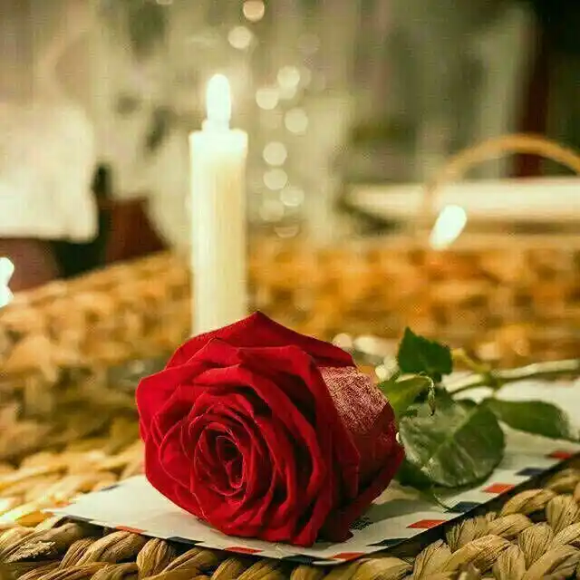 🌸طَــريـقُ الـهُـــدى♥ post