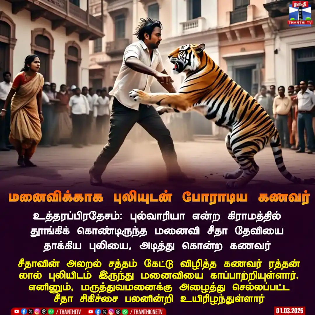 Image from Thanthi TV: மனைவிக்காக புலியுடன் போராடிய கணவர் உத்தரப்பிரதேசம்: புல்வாரியா என்ற க...