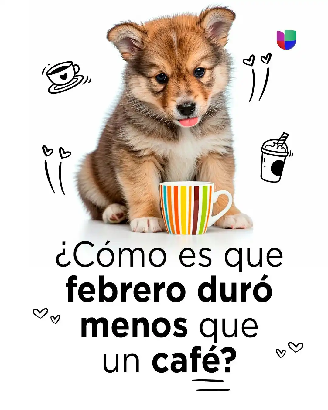 Image from Univision: ¡Se fue en un abrir y cerrar de ojos! 😯😳🤭🤣  <a class="text-blue-50...