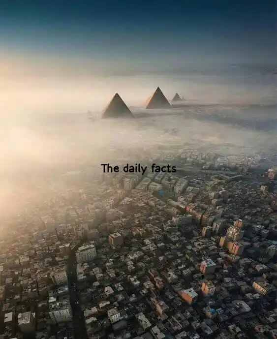 විශ්ව පාරාදීසය | thє dαílч fαctѕ ✨🇱🇰 post