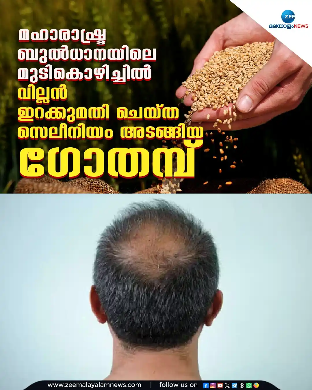 Image from ZEE Malayalam News: മഹാരാഷ്ട്ര ബുല്ധാനയിലെ മുടികൊഴിച്ചിൽ. വില്ലൻ ഇറക്കുമതി ചെയ്ത സെലീനിയം...