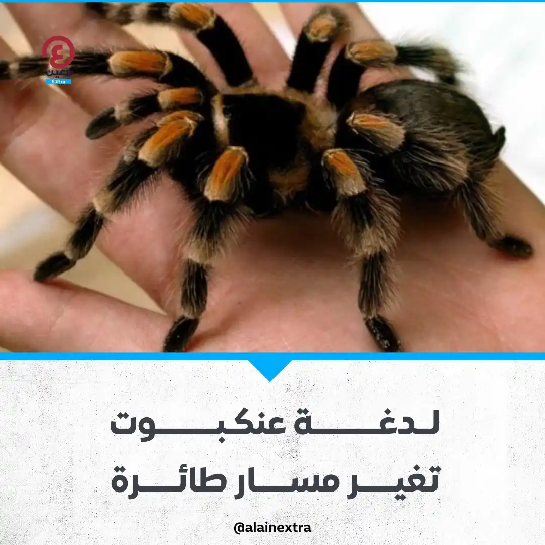 Image from العين EXtra: 🔵 شهد ركاب رحلة تابعة للخطوط الجوية "إيبيريا" لحظات من الذعر، بسبب عن...