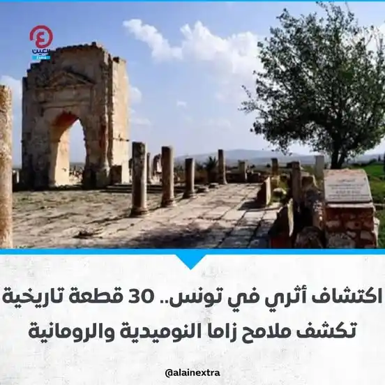 Image from العين EXtra: عكست ثراء الإرث الحضاري للمنطقة.. المعهد الوطني للتراث يعلن اكتشاف 30 ...