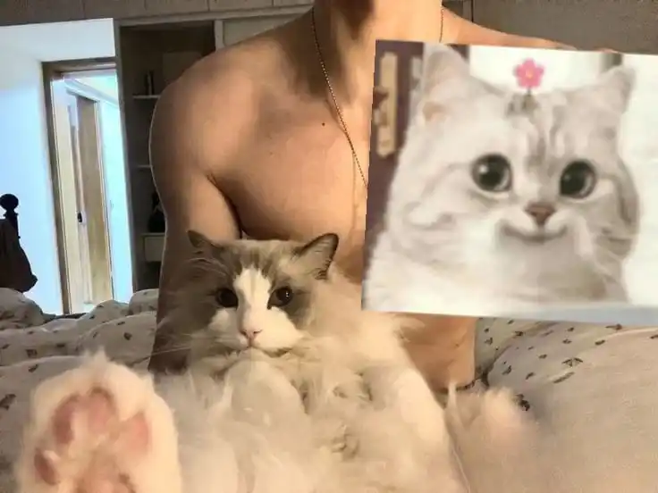 𝖆𝖗𝖘𝖍𝖆𝖐𝖆🚩 post