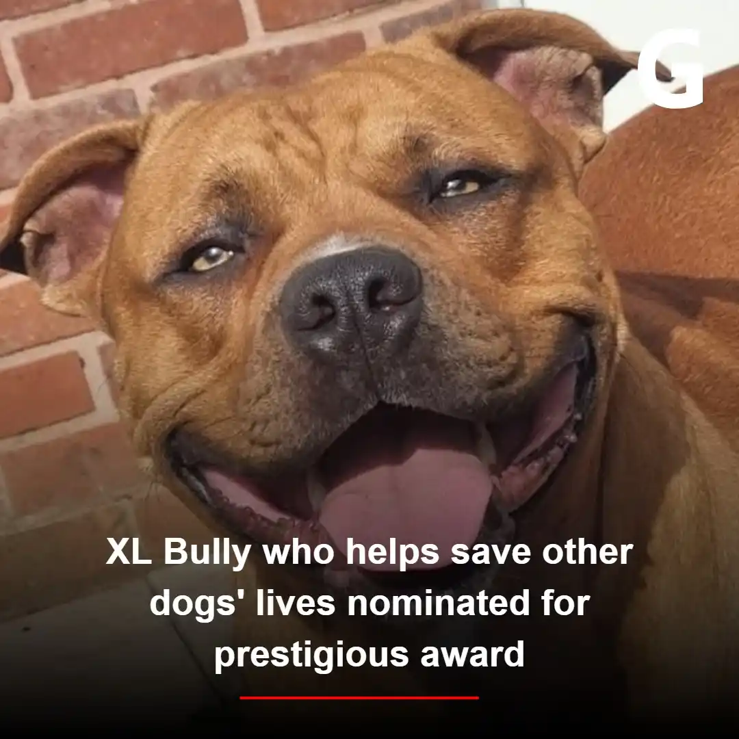 Basingstoke Gazette post