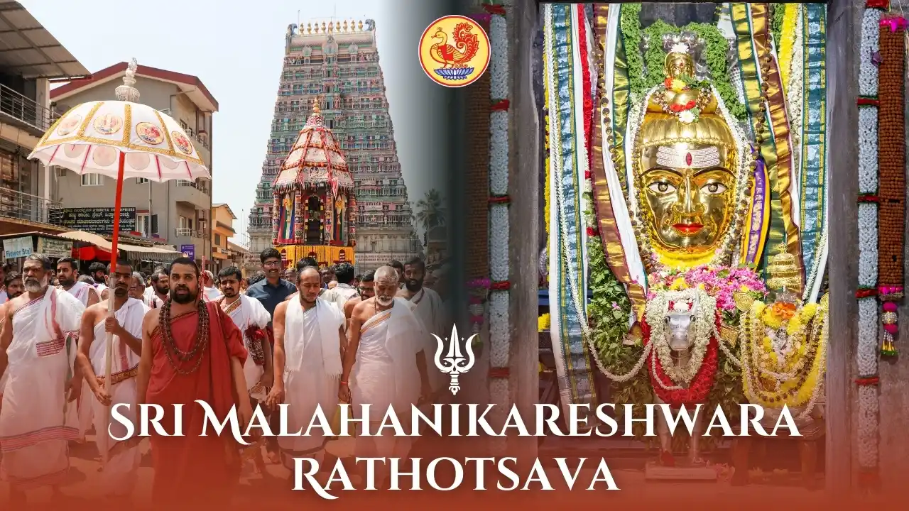 Image from Dakshinamnaya Sri Sharada Peetham, Sringeri: Live now: Maharathotsava of Sri Bhavani Malahanikareshwara Swami in th...