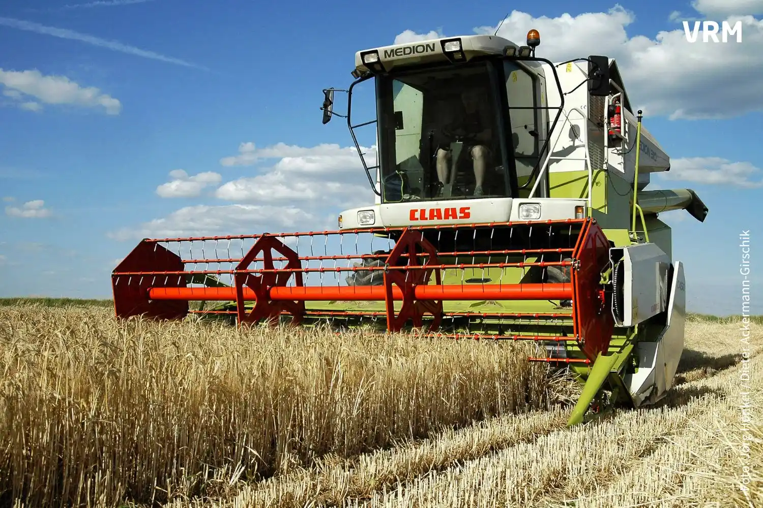 Image from Echo Online Südhessen: Extremwetter, Ernteausfälle, Wassermangel – *Landwirte im Kreis Bergst...