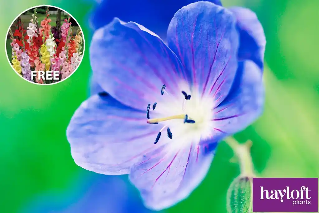 Gardeners’ World Mag: Offers post