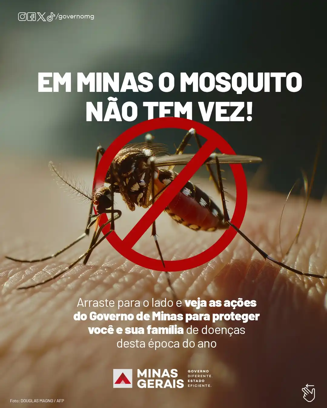 Governo de Minas Gerais post