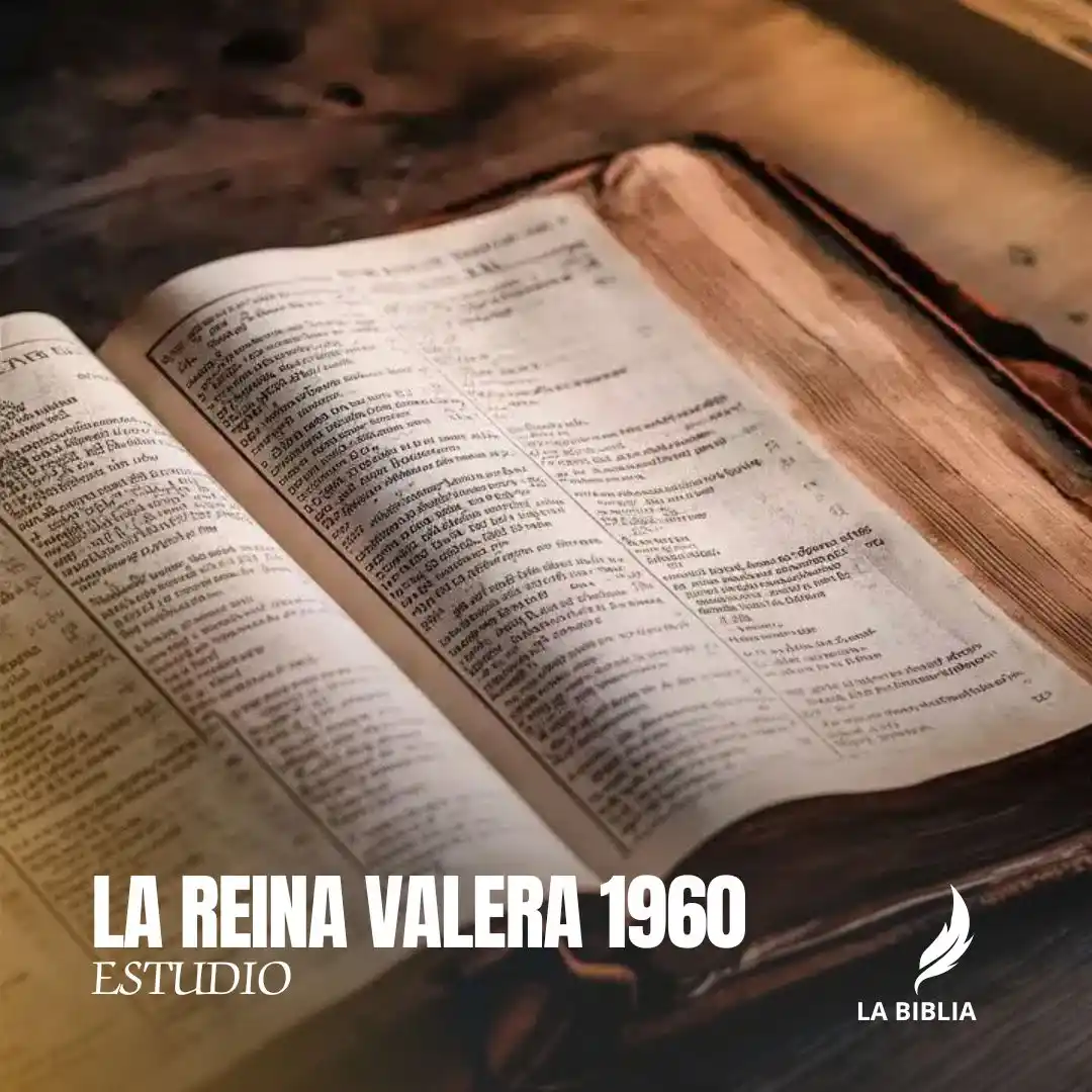 Image from La Biblia 🕊️: Proceso de la Biblia Reina-Valera 1960 1. *Inspiración Divina* - *...