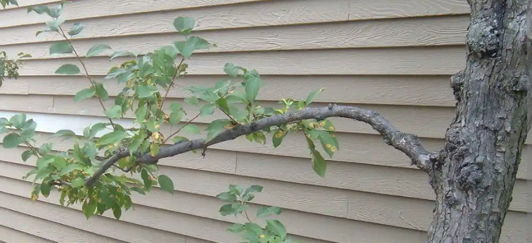 Psychology, Motivation, Success, Mind, Jobs, Development, Feelings, Poetry, Stories, Quote & Riddles post